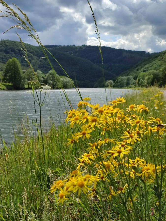 Entre Meuse Et Foret Revin  Экстерьер фото