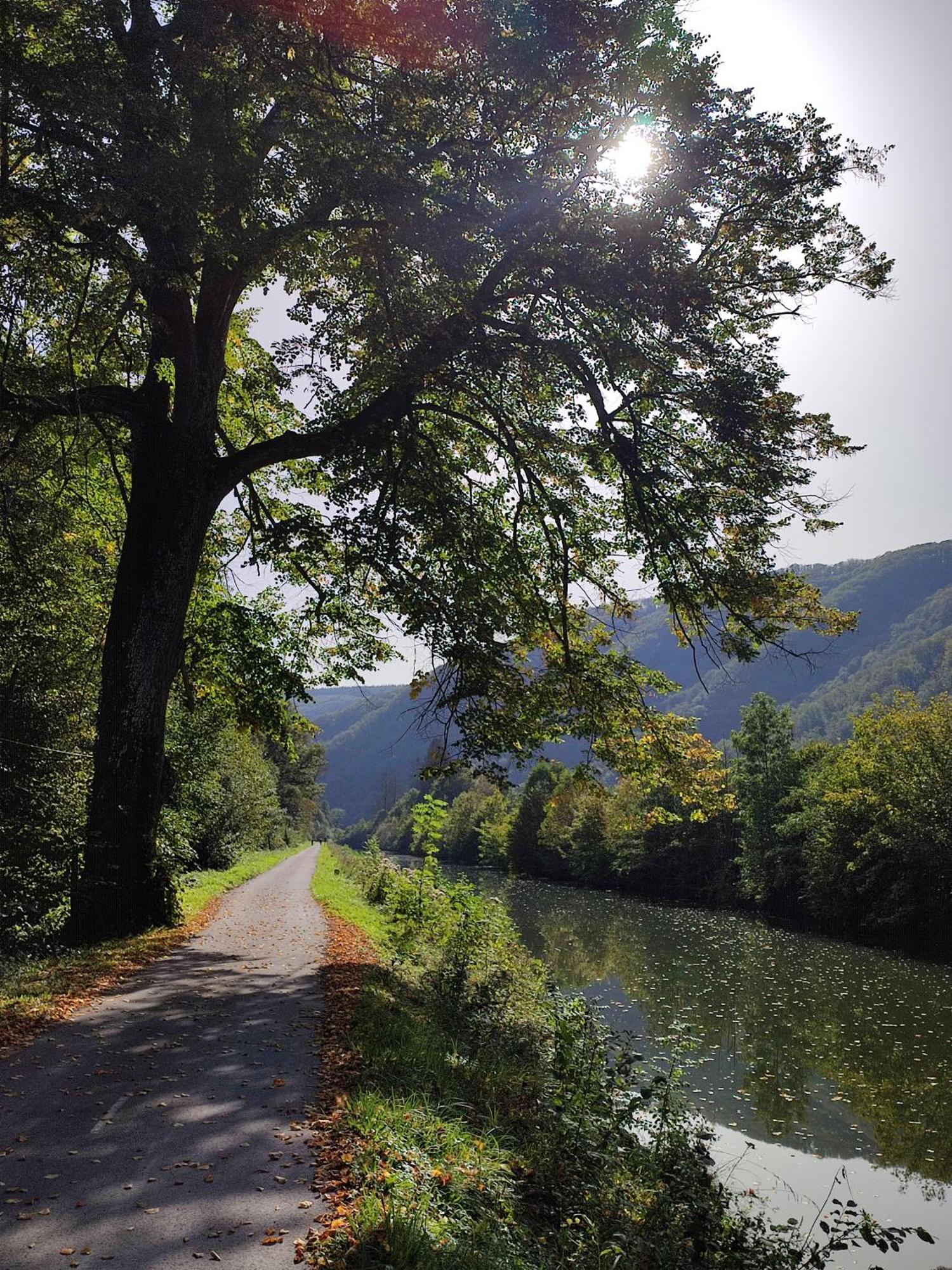 Entre Meuse Et Foret Revin  Экстерьер фото